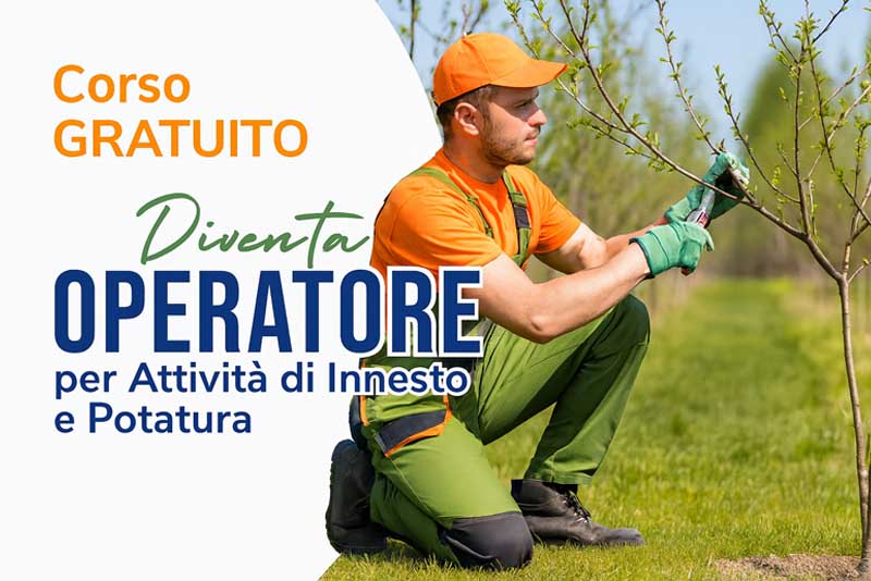 operatoreInnesto.jpg